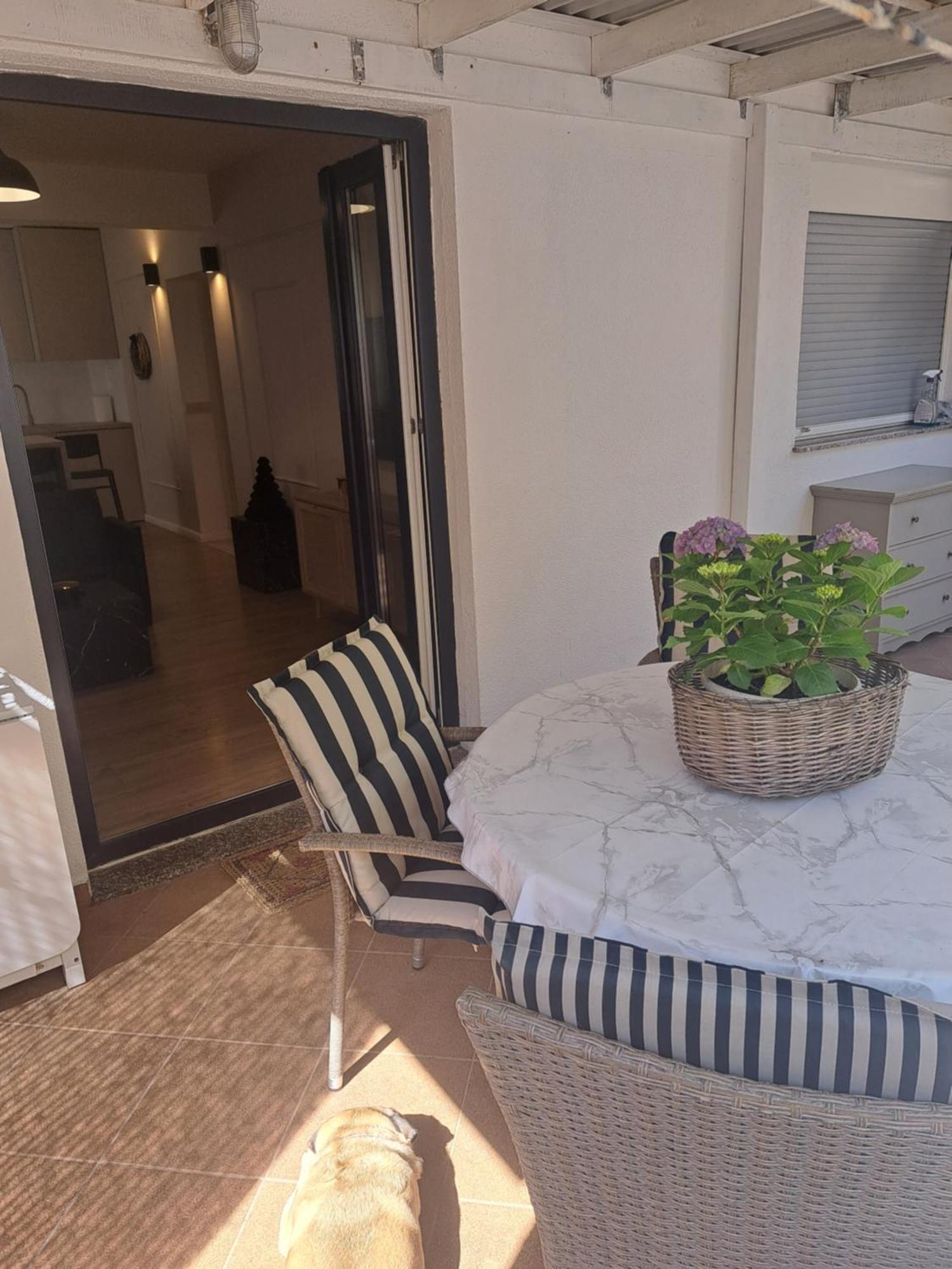 Apartament Petra